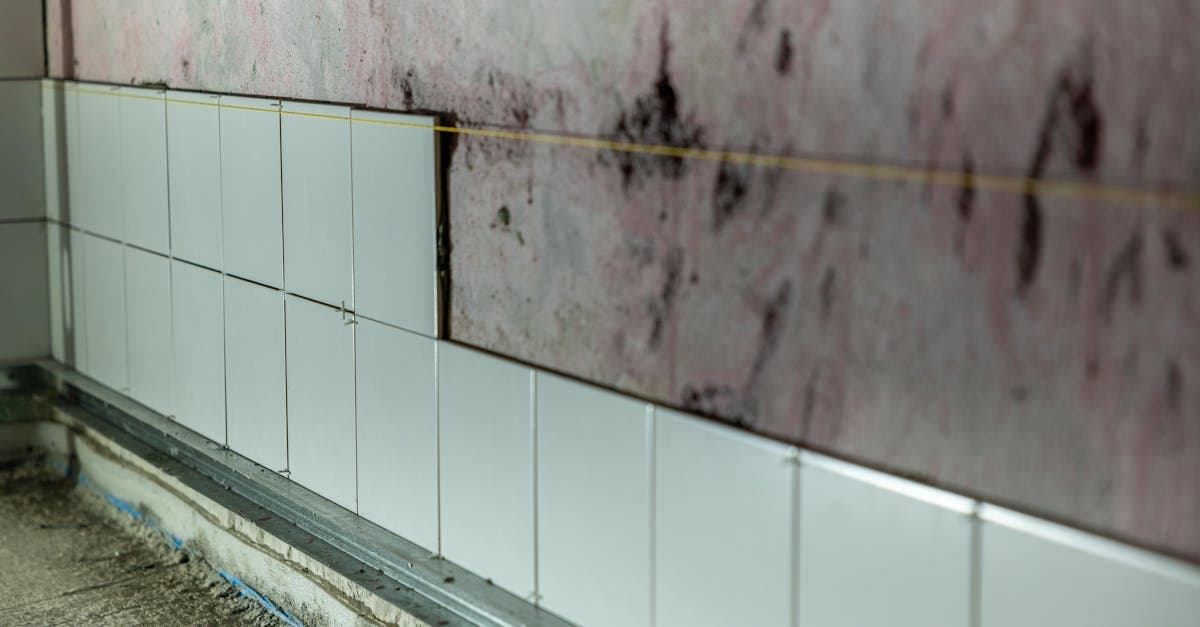 Cover Image for Does Homeowners Insurance Cover Mold? The Complete Answer