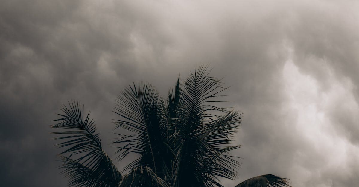 How Many Times Can a Hurricane Deductible Apply in One Year?