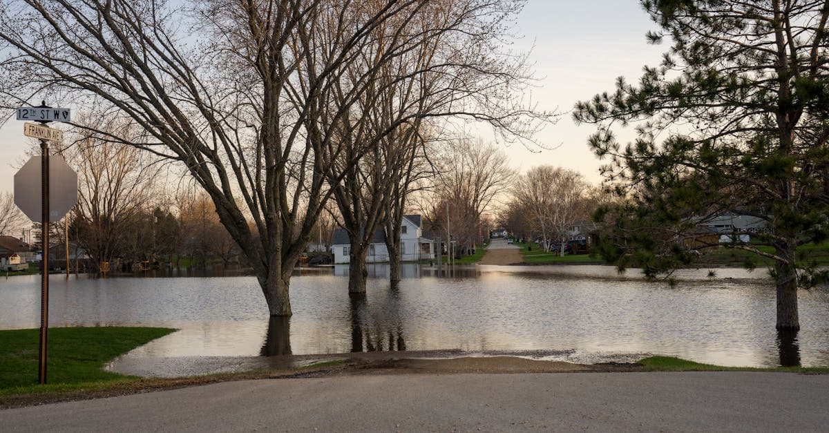 Cover Image for What Is Flood Insurance? A Complete Guide for Homeowners