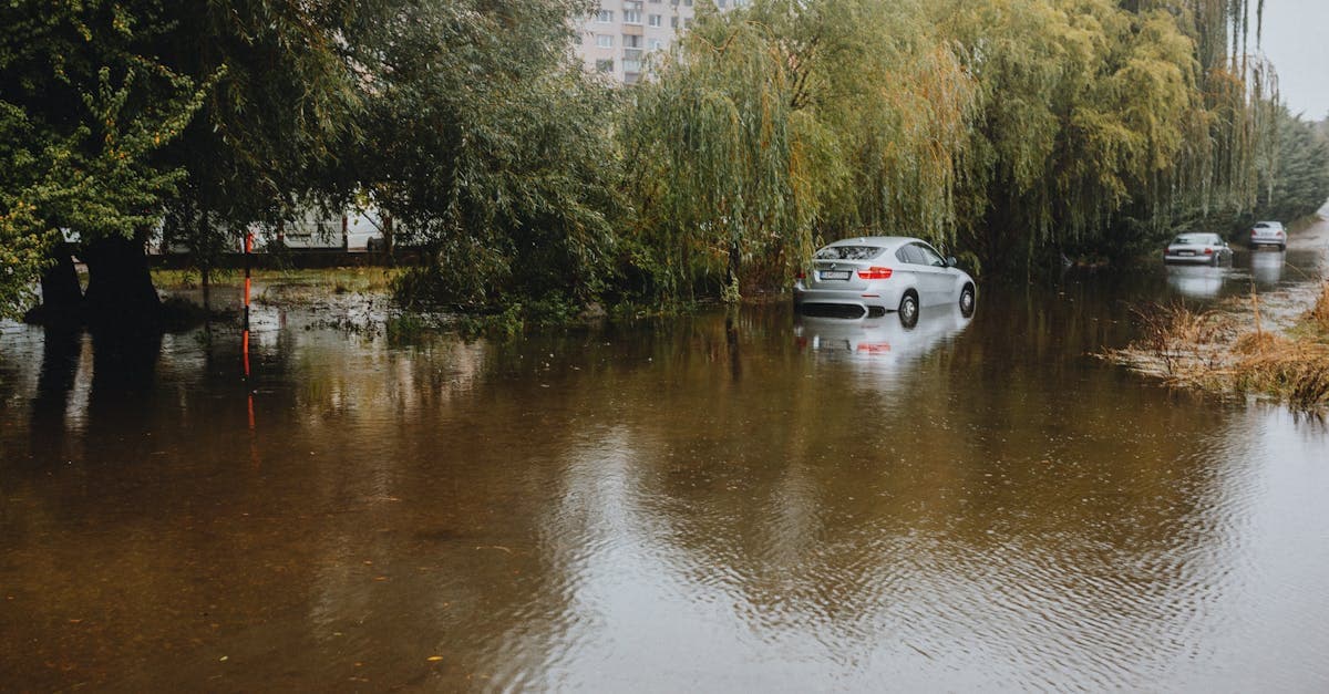 Can Renters Buy Flood Insurance? Yes — Here Is How It Works